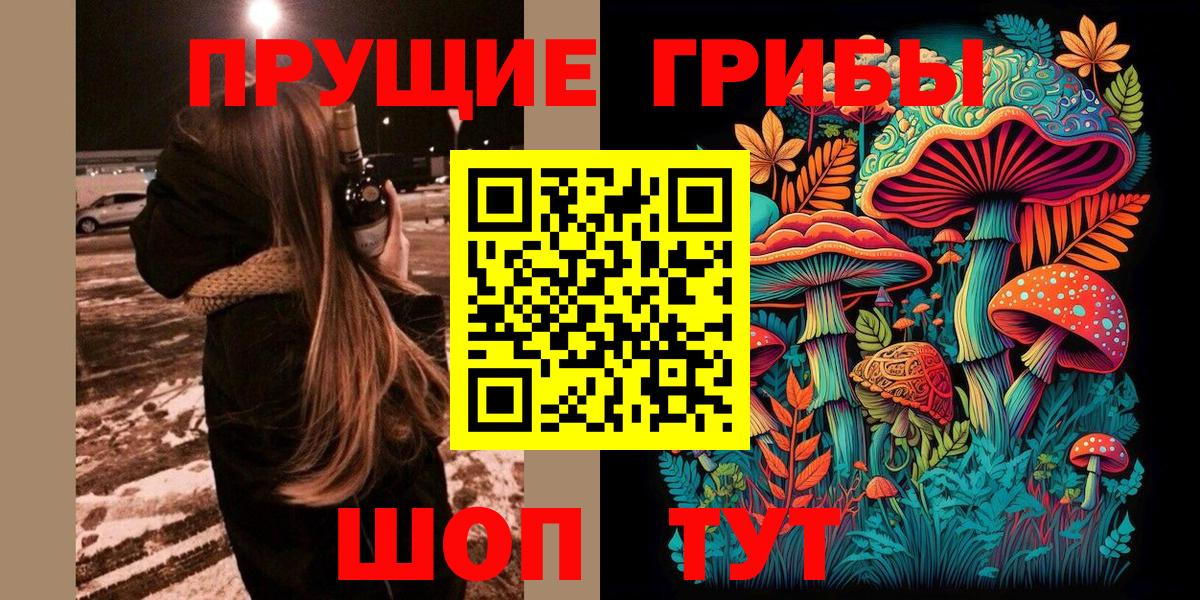 Псилоцибиновые грибы Psilocybine cubensis  Вход с VPN  Костомукша 