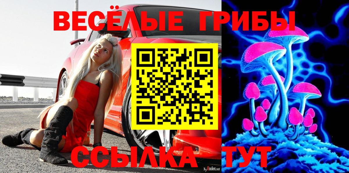 Галлюциногенные грибы мухоморы Костомукша